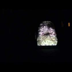 Labo Visuel de la structure MapMaFace MapMa Face - Visuels