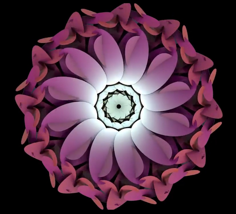 Flowers Purpurea